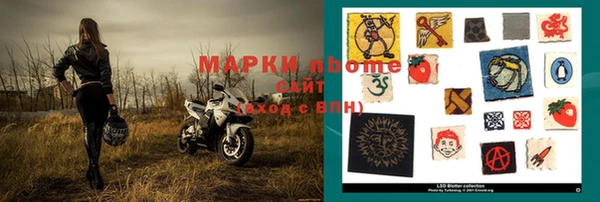 дживик Инта