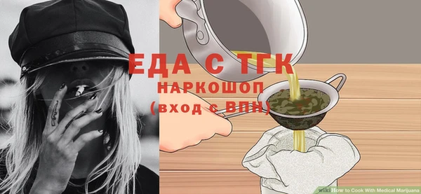 дживик Инта