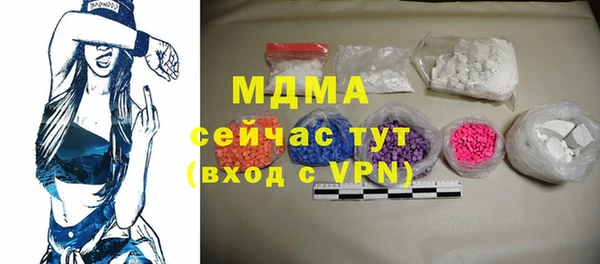 дживик Инта