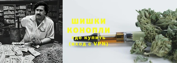 ПСИЛОЦИБИНОВЫЕ ГРИБЫ Иннополис