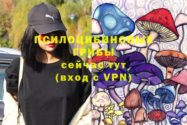 ПСИЛОЦИБИНОВЫЕ ГРИБЫ Иннополис