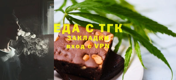 дживик Инта