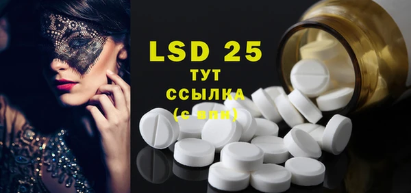 дживик Инта