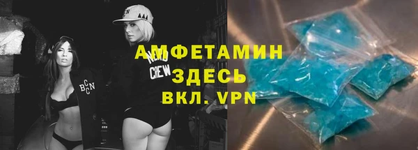 дживик Инта