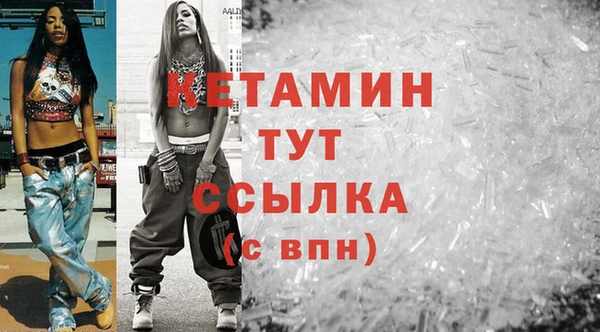дживик Инта