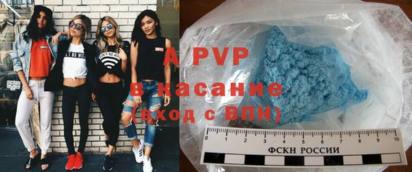 дживик Инта