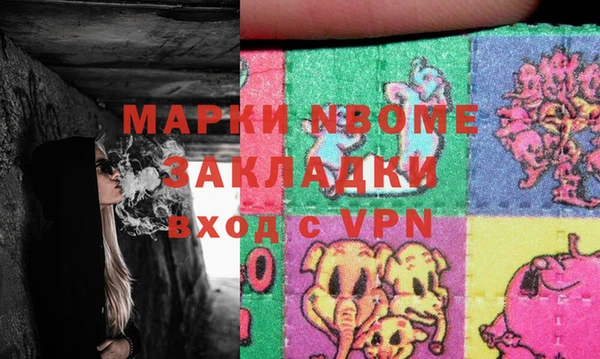 дживик Инта