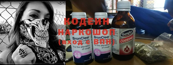 дживик Инта