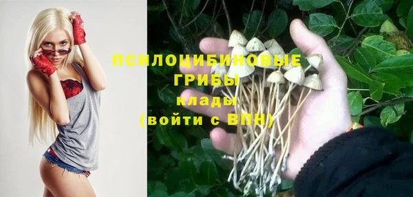 ПСИЛОЦИБИНОВЫЕ ГРИБЫ Иннополис