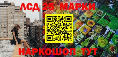MDMA Жуковский