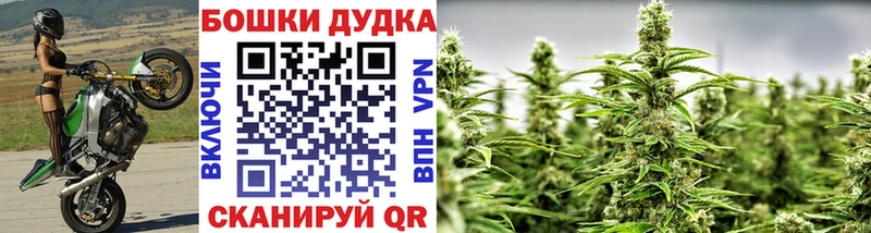 МЕГА зеркало Ржев Канабис сатива